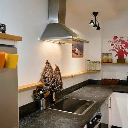 아파트 Maison Familiale Avec Un Jardin Proche Lille *